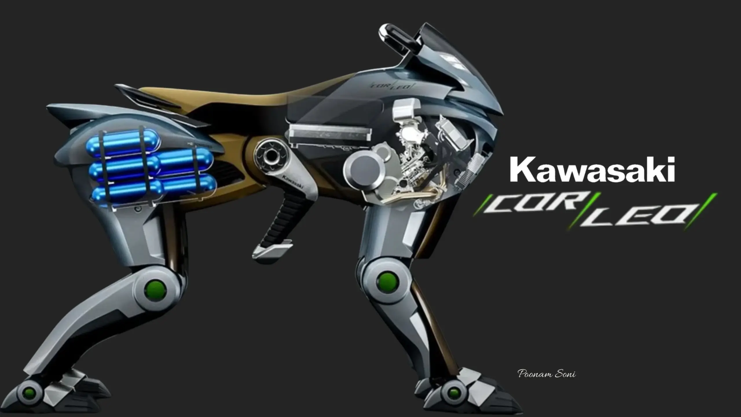 Kawasaki